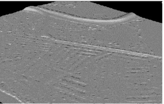 Gambar I.7. Contoh visualisasi Digital Terrain Model (DTM) (Pfeifer, 2008). 