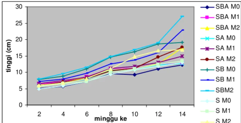Gambar 2. Pertumbuhan tinggi semai A. crassna hingga umur 14 mst pada  media kompos serbuk  gergaji  yang  diperkaya  dan  inokulasi  jenis  FMA  (S:  media  tanam  kompos  serbuk  gergaji;  SB  :  media  tanam  kompos  serbuk  gergaji  diperkaya  bubuk  b