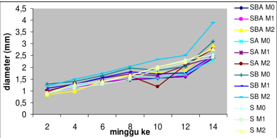 Gambar  3.  Pertumbuhan  diameter  semai  A.  crassna  hingga  umur  14  mst  pada  media  kompos  serbuk  gergaji  diperkaya  dan  inokulasi  jenis  FMA  (S  :  media  kompos  serbuk  gergaji; 