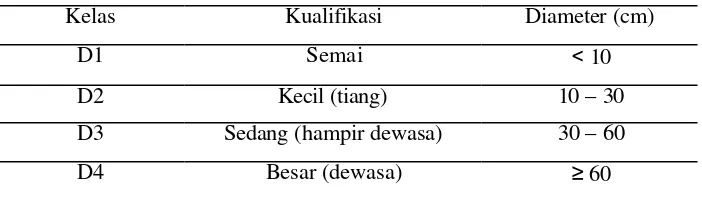 Tabel 5 Klasifikasi diameter batang pohon 