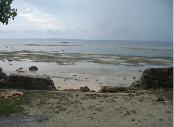 Gambar 1. Talud yang rusak di pantai Paray (Dokumentasi pribadi, 2006)