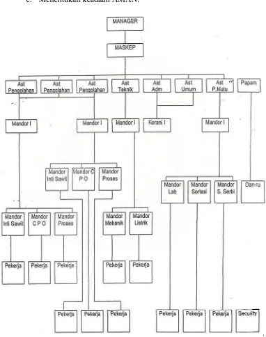 Gambar 4.1. Struktur Organisasi PKS Tanjung Medan 