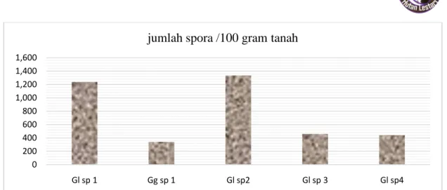 Tabel 4.   Hasil Pengamatan Infeksi pada Akar Tanaman Gaharu ( Observations of  Infection at the Root of Aguilaria spp) 