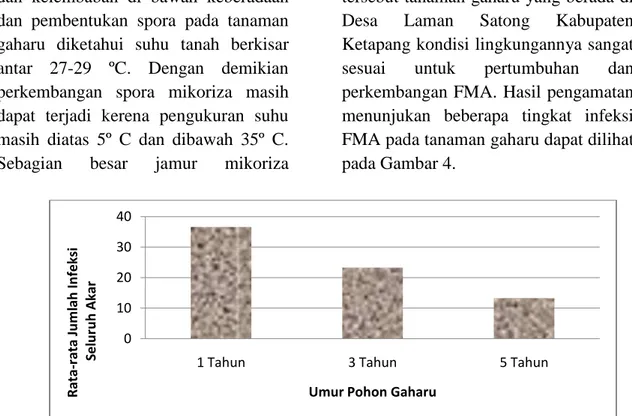 Gambar 4.   Grafik  tingkat  infeksi  akar  pada  pohon  gaharu  (Aquilaria  spp)(Graph  of  Infection Rates at theRroot of the Aguilaria spp Plant ) 