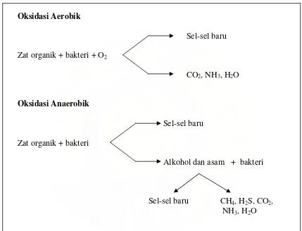 Gambar 1. Model oksidasi Biologi (Tebbutt, 1982) 