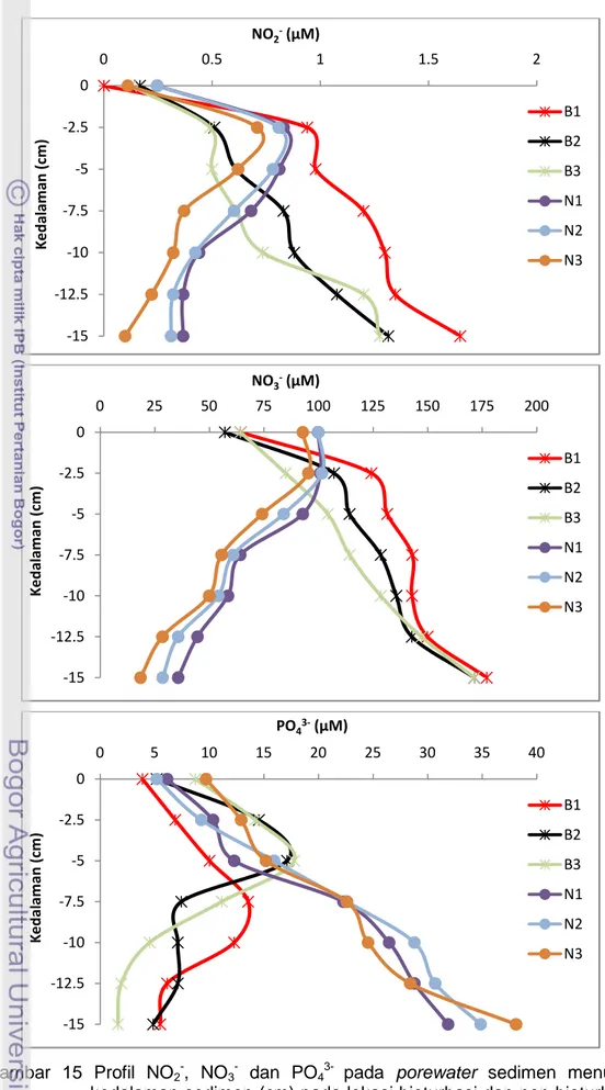 Gambar  15  Profil  NO 2 - ,  NO 3 -   dan  PO 4 3- pada  porewater  sedimen  menurut    kedalaman sedimen (cm) pada lokasi bioturbasi dan non bioturbasi  (B = bioturbasi ; N = non bioturbasi ; 1,2,3 = titik sampling