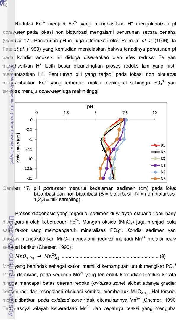 Gambar  17.  pH  porewater  menurut  kedalaman  sedimen  (cm)  pada  lokasi  bioturbasi dan non bioturbasi (B = bioturbasi ; N = non bioturbasi ;  1,2,3 = titik sampling)