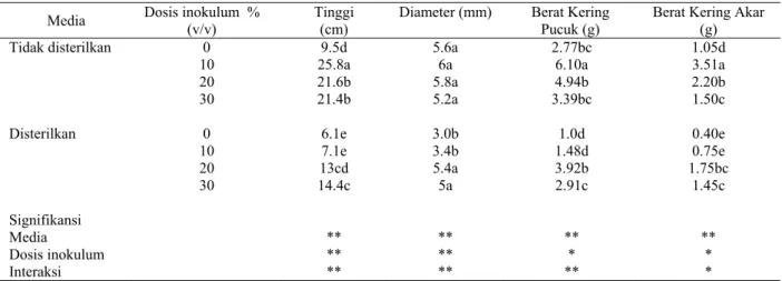 Tabel 1  Pengaruh sterilisasi media dan dosis inokulum terhadap pertumbuhan S. selanica di Rumah Kaca 16  minggu setelah tanam  