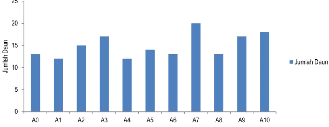 Gambar 3. Grafik Pertambahan Jumlah Daun Sukun  (Artocarpus communis)  Pembahasan  