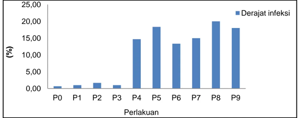 Gambar  1  Grafik  Rerata  derajat  infeksi  mikoriza  pada  akar  tanaman  jagung  di  berbagai  perlakuan (P 0  = pupuk anorganik 100%, P 1  = bokashi + pupuk anorganik 100%, P 2  = bokashi +  pupuk  anorganik  75%,  P 3   =  bokashi  +  pupuk  anorganik