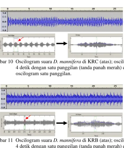 Gambar 10  Oscilogram suara D. mannifera di KRC (atas); oscilogram per  4 detik dengan satu panggilan (tanda panah merah) dan  oscilogram satu panggilan