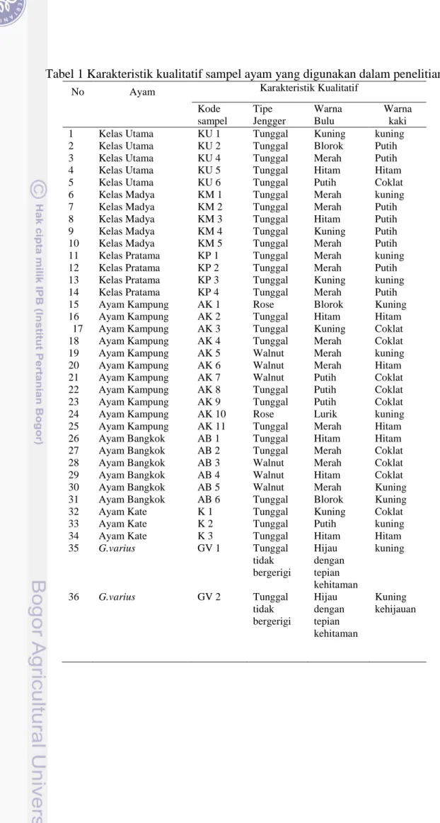 Tabel 1 Karakteristik kualitatif sampel ayam yang digunakan dalam penelitian 