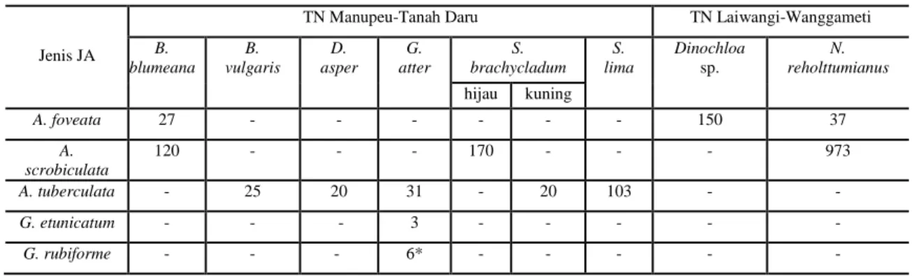 Tabel 2. Jumlah spora JA per 100 g dalam media zeolit dengan inang Pueraria phaseoloides yang berasal dari rizosfer bambu