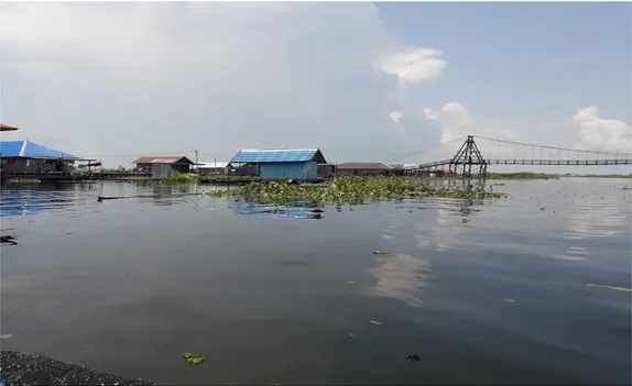 Gambar 3. Kondisi perairan rawa monoton “Danau Panggang”, Kabupaten Hulu Sungai Tengah,                           Kalimantan Selatan, habitat asli ikan toman 