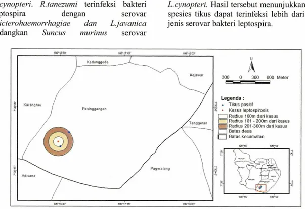 Gambar 1. Jarak kasus leptospirosis dengan tikus terinfeksi bakteri leptospira  Gambar 1 menunjukkan kejadian 