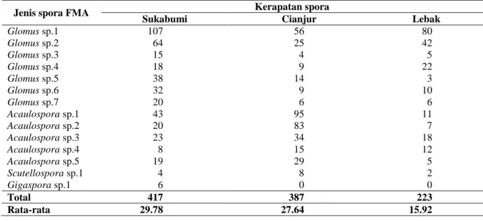 Tabel 1  Kerapatan spora FMA tiap 50 g contoh tanah dari tegakan aren di tiga lokasi kabupaten 