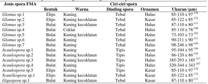 Tabel 3  Karakterisasi spora FMA dari tegakan aren di tiga lokasi kabupaten 