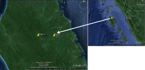 Gambar 1.  Lokasi penelitian di P. Siberut (Sumber: Google earth, 2013). 