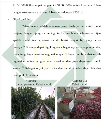 Gambar 3.1 Gambar 3.2 
