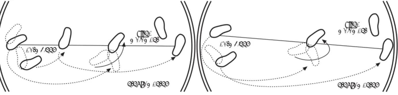 Diagram awal lempar cakram dengan berputar (A) kaki kiri sebagai poros putar digeser ke kiri