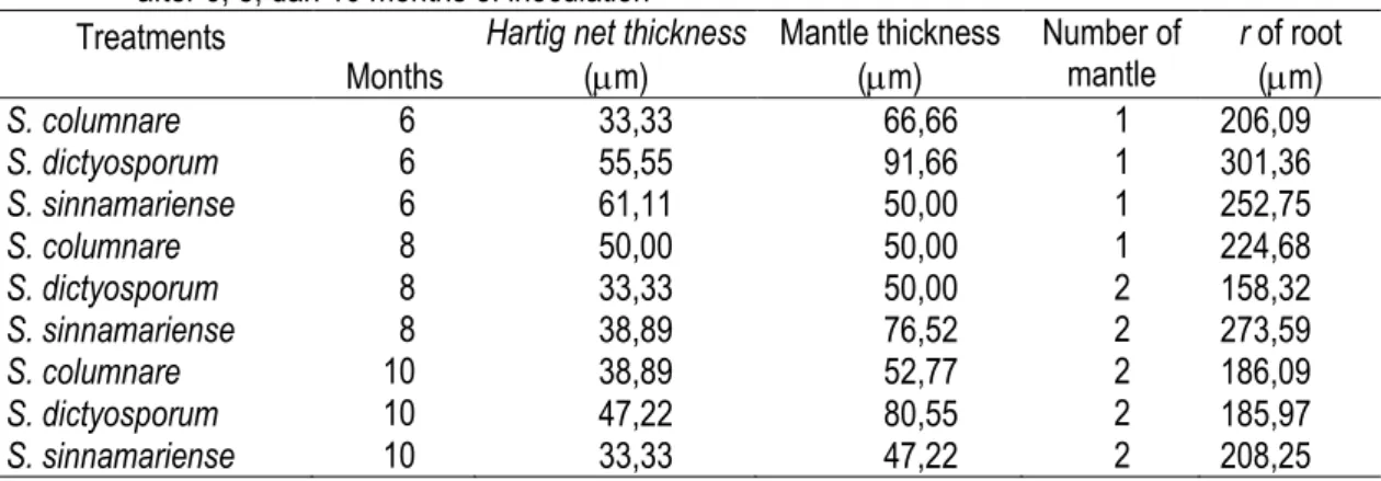 Table 3.  Mean value of root histology of G. gnemon inoculated with S. columnare and S