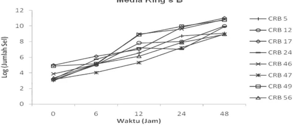 Gambar 4.  Pertumbuhan Pseudomonas sp. dengan media kings’B pada  berbagai lama waktu pengukuran 