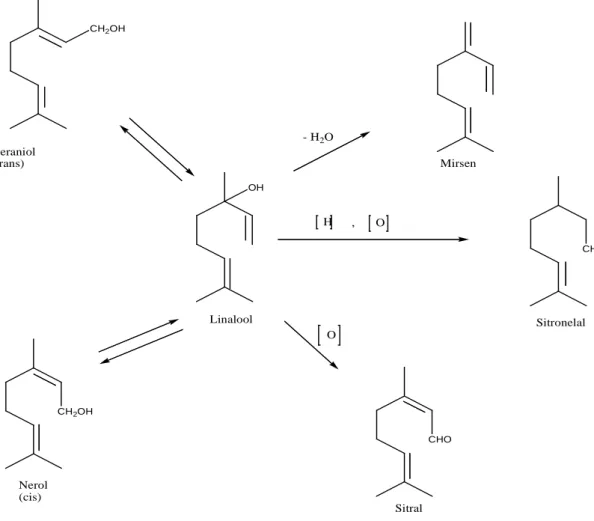 Gambar 2.6. Perubahan senyawa monoterpen 