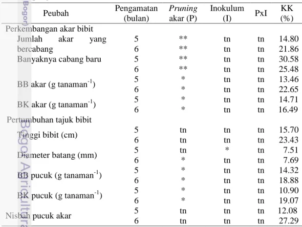 Tabel 1  Rekapitulasi hasil analisis ragam data pertumbuhan bibit melinjo dengan    perlakuan pruning akar  dan sumber inokulum  pada bulan ke-5 dan ke-6  pengamatan  Peubah  Pengamatan  (bulan)  Pruning akar (P)  Inokulum (I)  PxI  KK  (%)  Perkembangan a