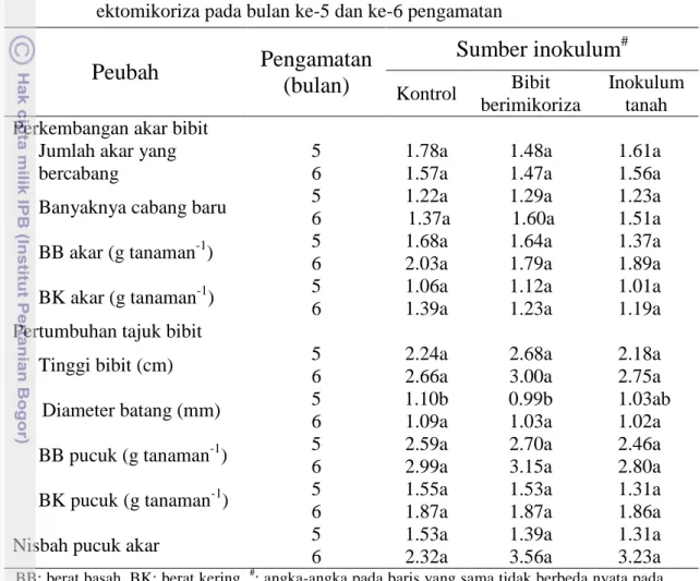 Tabel  4  Pertumbuhan  bibit  melinjo  dengan  perlakuan  sumber  inokulum   ektomikoriza pada bulan ke-5 dan ke-6 pengamatan 