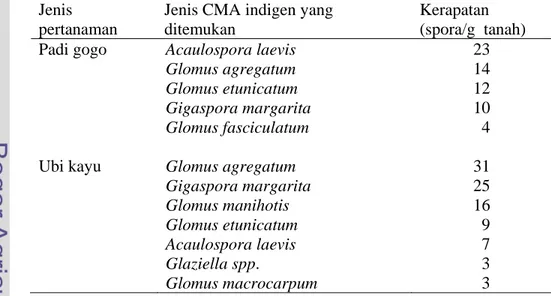 Tabel 1.  Identifikasi FMA indigen tanah podsolik pada lahan pertanaman padi  gogo dan ubi kayu (Iriani 2003) 