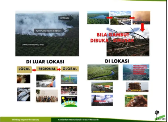 Gambar 1 : Prosesi perambahan hutan yang sistematis maupun non sistematis  ,   mulai dari membuka dan membakar kawasan gambut, membangun kawasan  perkebunan sawit, akasia maupun karet, terus dilanjutkan lagi dengan memperluas  dan merambah hutan-hutan gamb