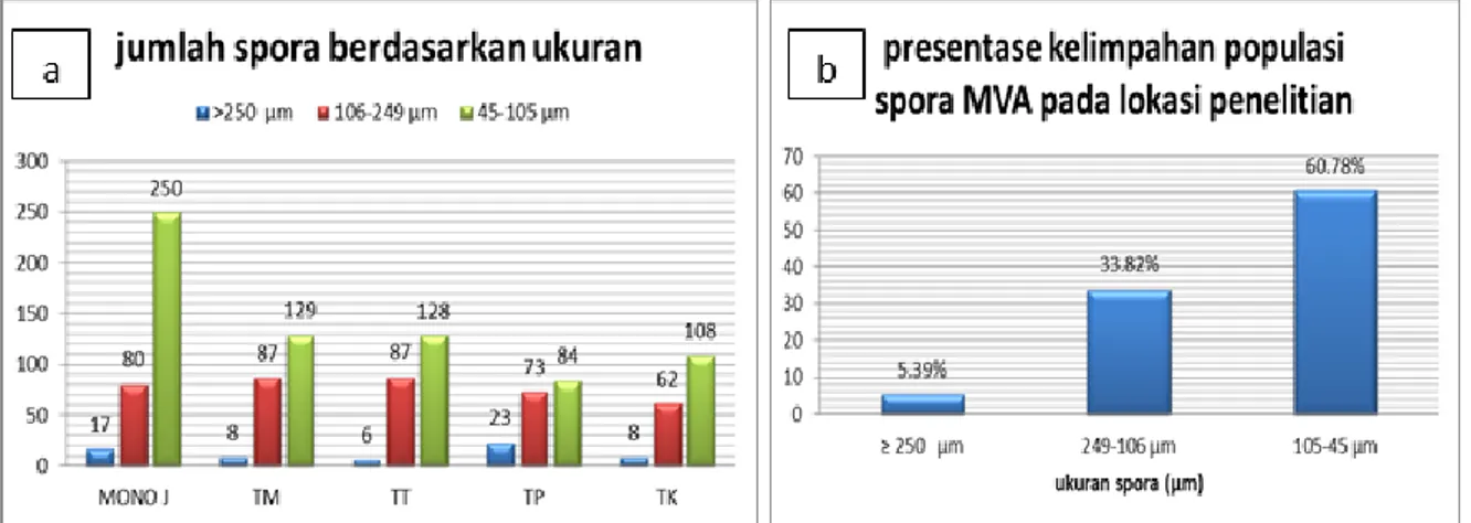 Gambar 1. Jumlah Spora MVA pada masing-masing Pola Tanam (a) dan Presentase  Kelimpahan Populasi MVA (b) 