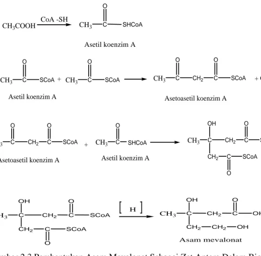 Gambar 2.3 Pembentukan Asam Mevalonat Sebagai Zat Antara Dalam Biosintesis  Terpenoid (Agusta, 2000)