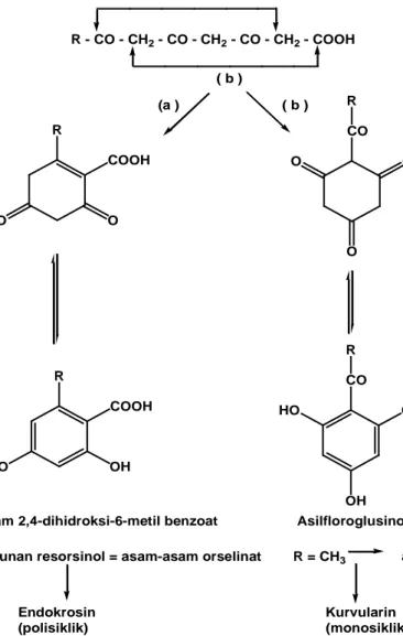 Gambar X. Mekanisme reaksi kondensasi aldol dan clasein   (a) Kondensasi Tipe Koronat 