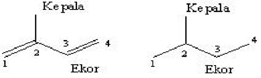 Gambar 1. Struktur isopren
