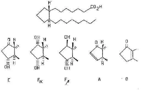 Gambar 1.  Asam prostanoat dan perbedaan susunan kimia cincin siklopentanaprostaglandin seri E, Fα, Fβ, A, dan B (Karim and Rao, 1975)