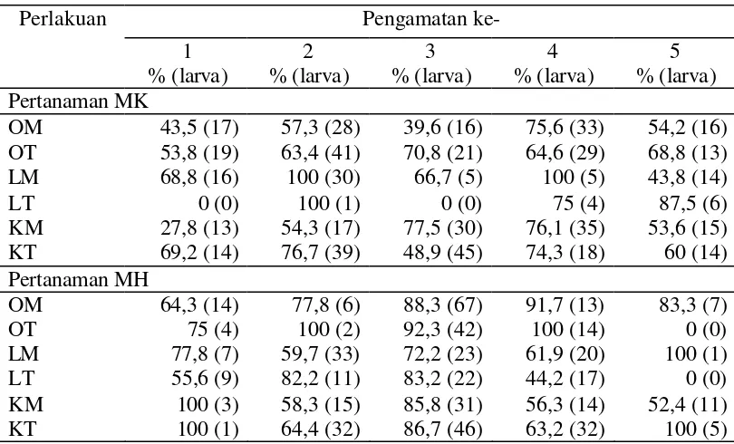 Tabel 4  Rata-rata tingkat parasitisasi larva P.  xylostella  