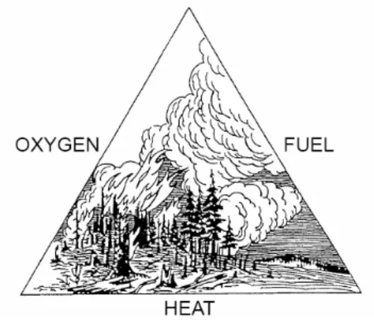 Gambar 1 Konsep segitiga api  (Borrow,  1951). 