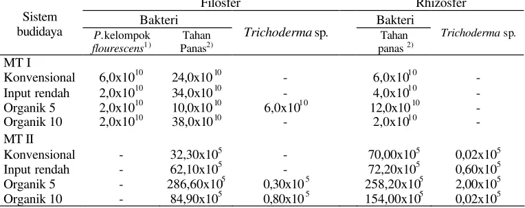 Tabel 5  Kerapatan koloni bakteri dan cendawan di filosfer dan rhizosfer pada MT I                dan MT II pada beberapa sistem budidaya 