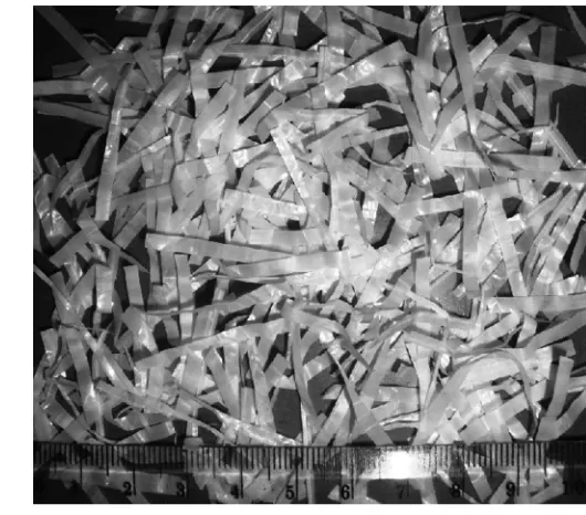 Fig. 1. Sample of the fibers used in the research reported in this paper