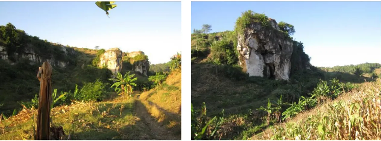 Foto 01.  Lembah Campurdarat (Tulungagung). Dua  tonjolan bukit di sebelah kanan adalah lokasi  situs Song Gentong I dan II (foto: jse yuwono) 