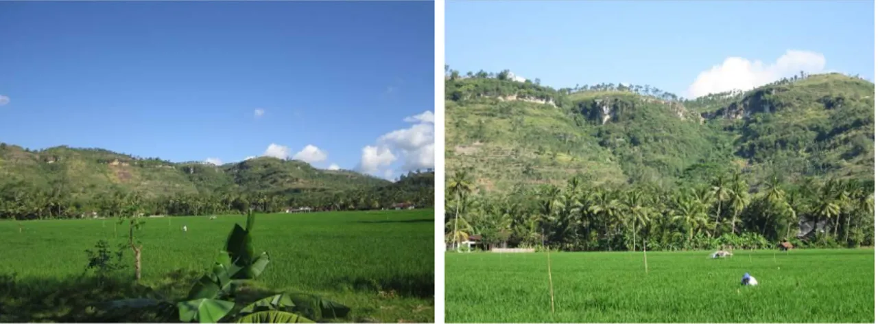 Foto 14 dan 15. Deretan ceruk di daerah Tulungagung yang berpotensi sebagai  situs hunian Prasejarah (foto: jse yuwono) 