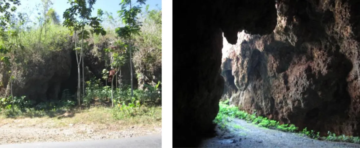 Foto 16 dan 17. Gua Plethes di wilayah karst Malang Selatan, prototipe   sebuah gua hunian (foto: jse yuwono) 
