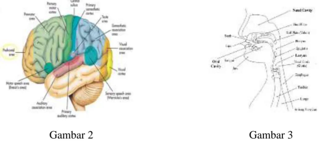 Gambar 2  Gambar 3 