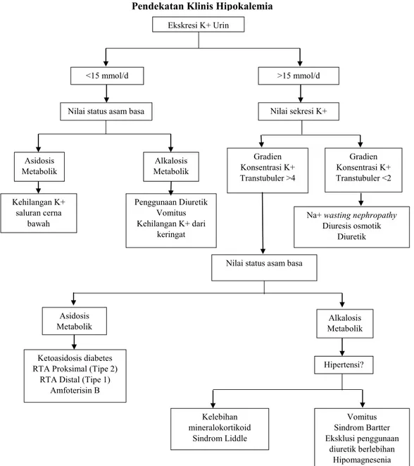 Gambar 2. Algoritma pendekatan diagnosis hipokalemia 1