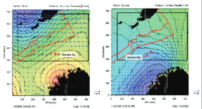 Gambar 5. Pola angin dan pembangkit gaya pasang surut yang bervariasi secara keruangan dan waktu yang  digunakan dalam proses hidrodinamika di laut
