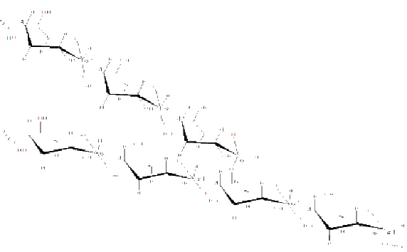 Gambar 2. Struktur molekul amilopektin (Chaplin, 2002) 