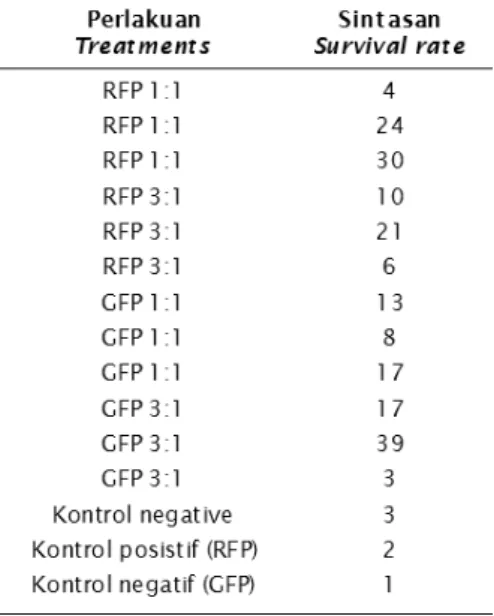 Tabel 3 di atas menunjukkan bahwa sintasan dari hasil perlakuan yang berbeda pada penyisipan gen RFP dan gen GFP menunjukan pola yang tidak jelas