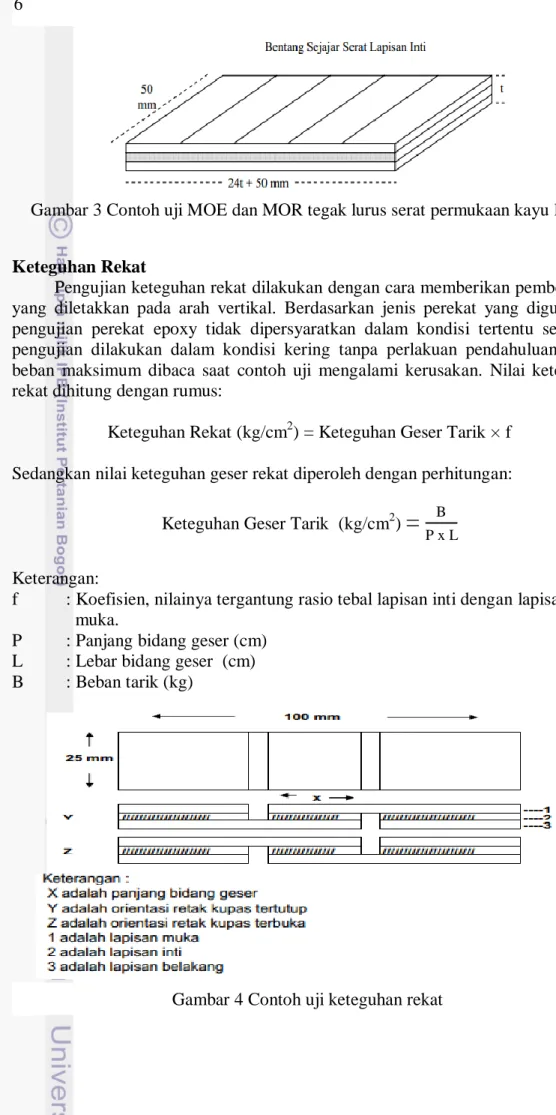 Gambar 3 Contoh uji MOE dan MOR tegak lurus serat permukaan kayu lapis 