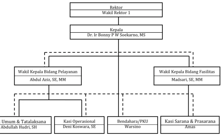 Gambar 3.1. : Struktur Organisasi Unit Olahraga dan Seni IPB 